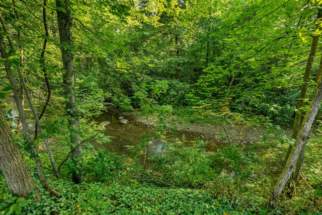 4025 School Rd, New Carlisle, OH 45344 - photo 49