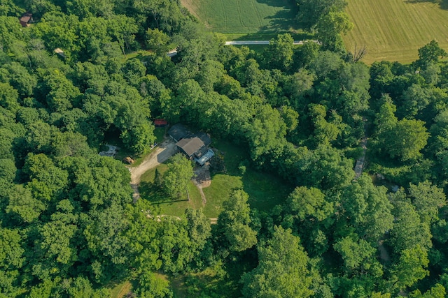 4025 School Rd, New Carlisle, OH 45344 - photo 57