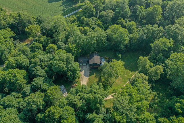 4025 School Rd, New Carlisle, OH 45344 - photo 56
