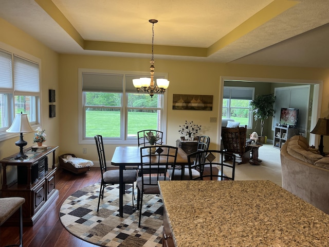2732 Summer Field Trl, Sidney, OH 45365 - dining room with a chandelier, plenty of natural light, a raised ceiling, and dark wood-type flooring