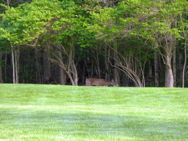 2732 Summer Field Trl, Sidney, OH 45365 - view of grassy yard