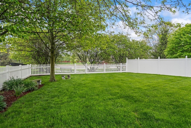 view of yard with a fenced backyard