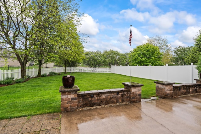 view of yard with a fenced backyard and a patio