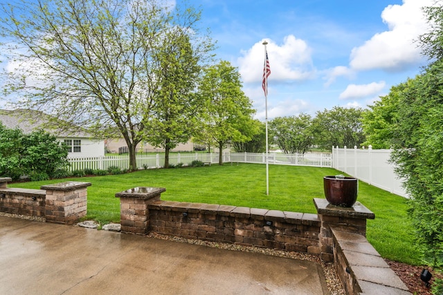 view of yard featuring a patio and a fenced backyard