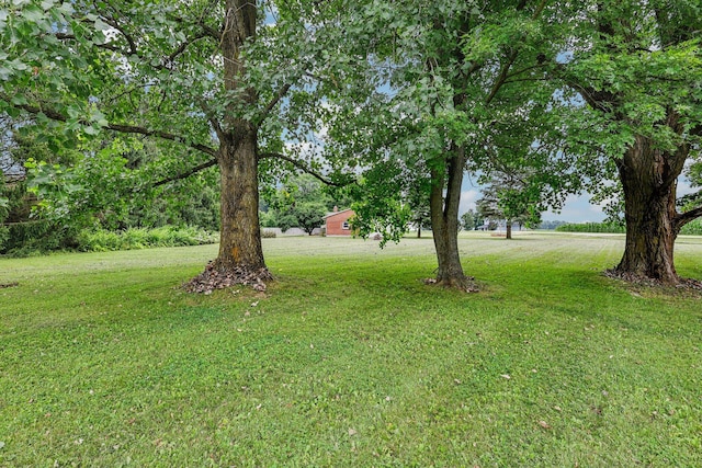 3912 Byrket Rd, Greenville, OH 45331 - photo 33