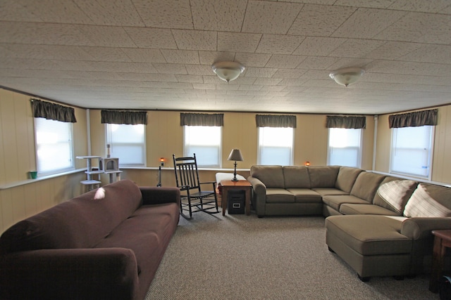 living area with carpet floors