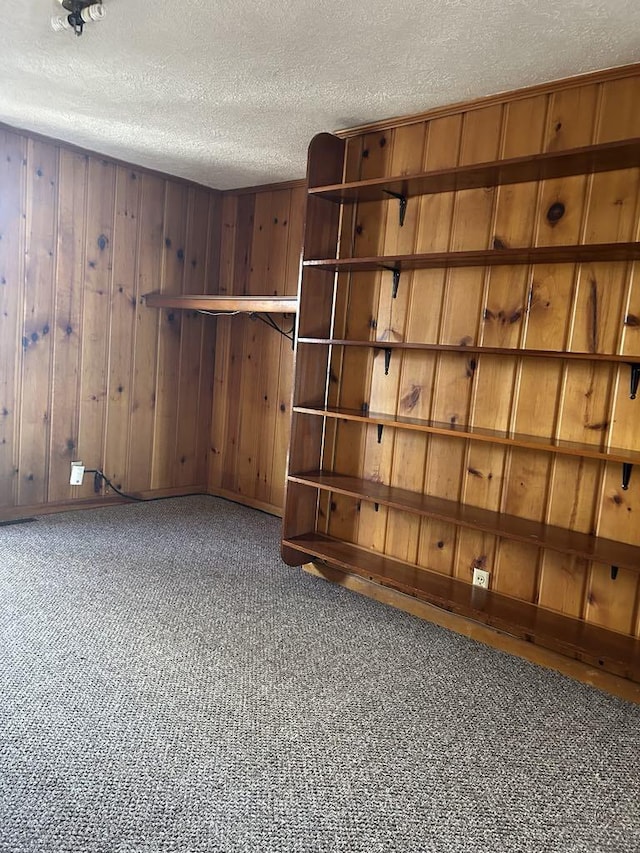 interior space with wood walls, a textured ceiling, and carpet flooring