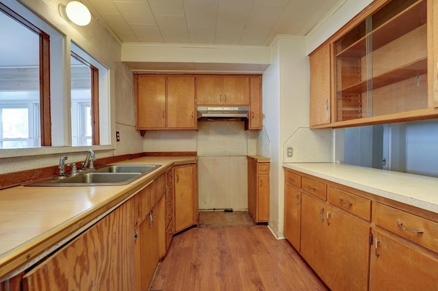 kitchen with brown cabinetry, light wood-type flooring, light countertops, under cabinet range hood, and a sink