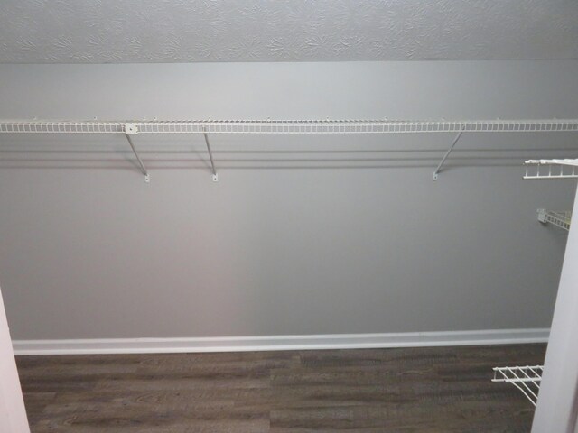 walk in closet featuring wood finished floors