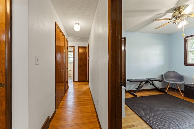 5899 N Springcreek Stringtown Rd, Piqua, OH 45356 - corridor with light wood-style flooring and baseboards
