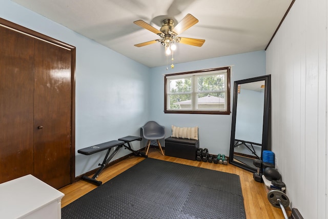 5899 N Springcreek Stringtown Rd, Piqua, OH 45356 - workout area featuring light wood-type flooring and a ceiling fan