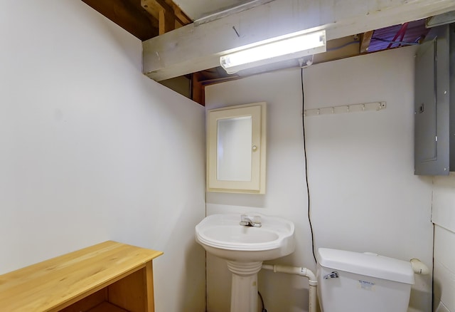 bathroom with electric panel and toilet