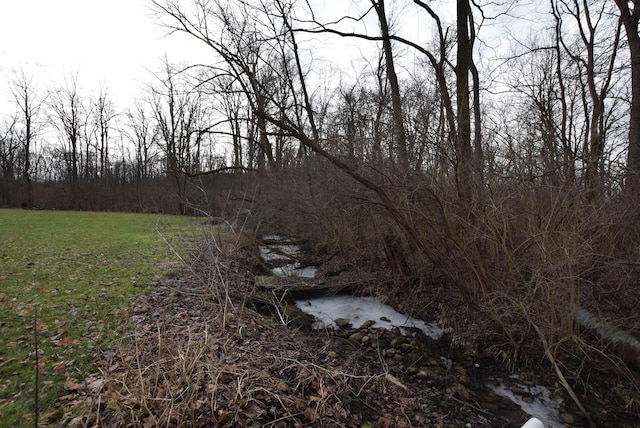 view of local wilderness