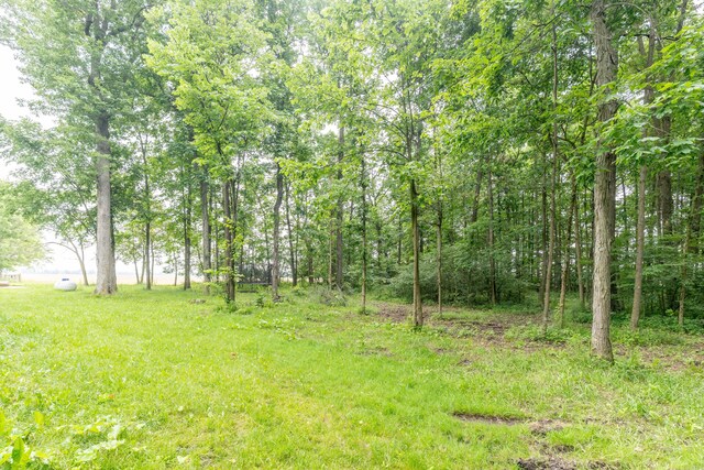 13253 State Route 720, Lakeview, OH 43331 - view of yard