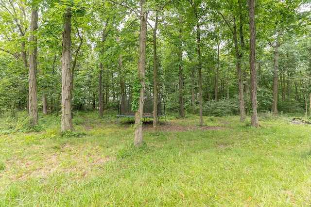 13253 State Route 720, Lakeview, OH 43331 - view of wooded area