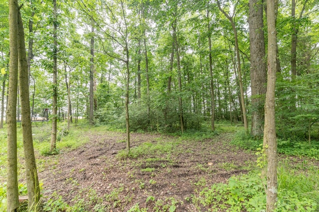 13253 State Route 720, Lakeview, OH 43331 - view of woods