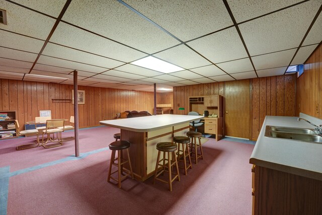 9743 State Route 118, Ansonia, OH 45303 - indoor dry bar featuring carpet, wood walls, and a paneled ceiling
