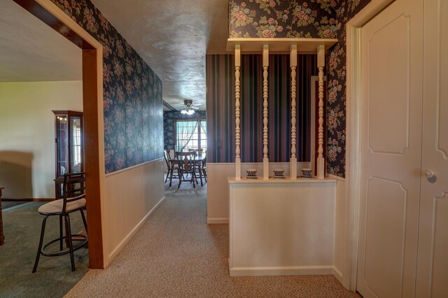 9743 State Route 118, Ansonia, OH 45303 - hall with wallpapered walls, carpet, wainscoting, and baseboards