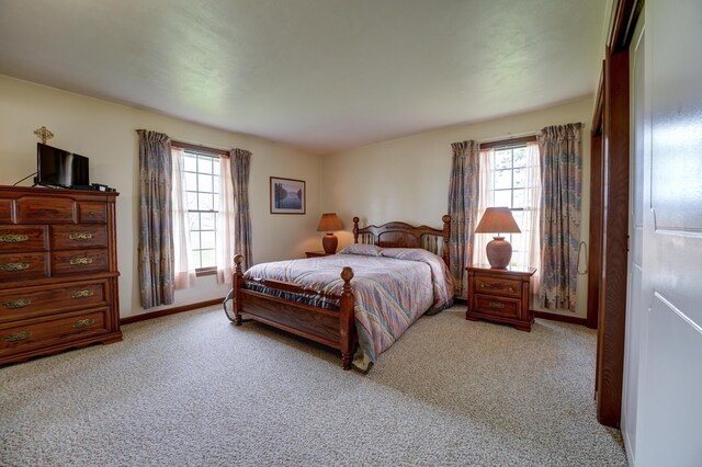 9743 State Route 118, Ansonia, OH 45303 - bedroom with carpet floors, multiple windows, and baseboards