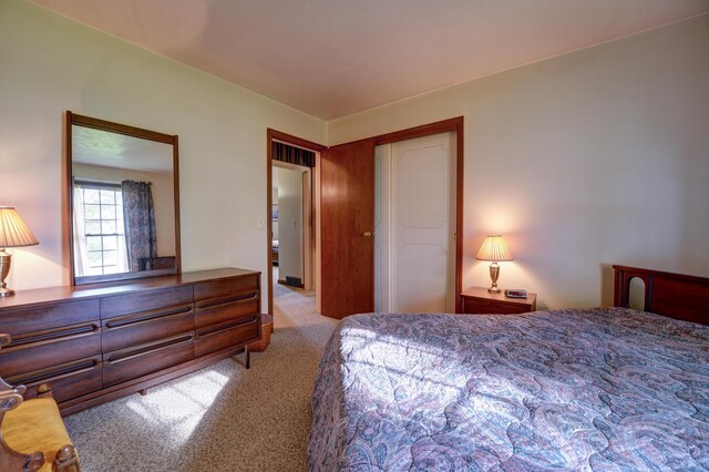 9743 State Route 118, Ansonia, OH 45303 - view of carpeted bedroom