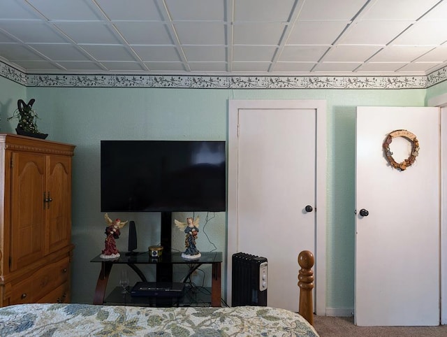 bedroom with carpet floors