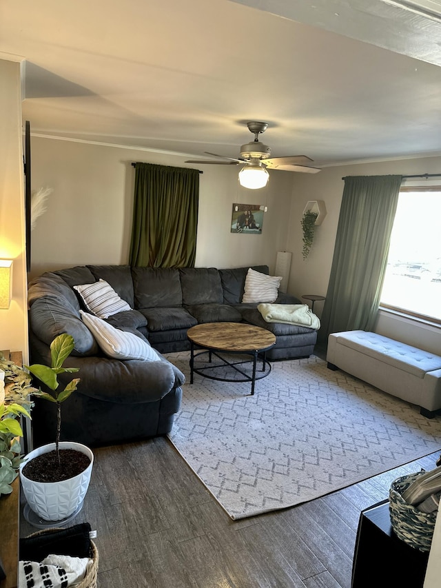 living area with a ceiling fan and wood finished floors