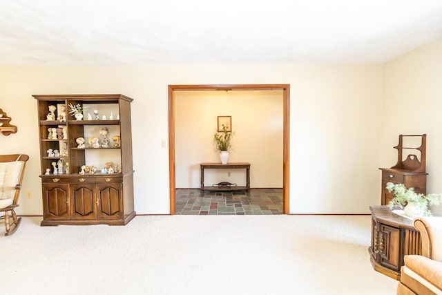 sitting room featuring carpet flooring