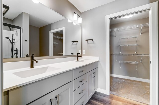1129 Auburn St, Troy, OH 45373 - full bath featuring baseboards, double vanity, wood finished floors, a sink, and a spacious closet