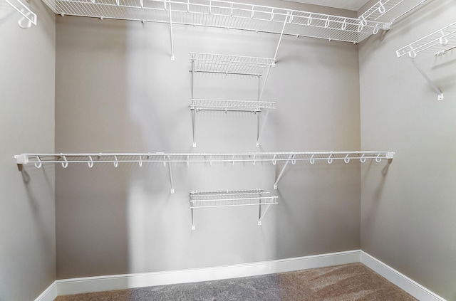 1129 Auburn St, Troy, OH 45373 - view of spacious closet
