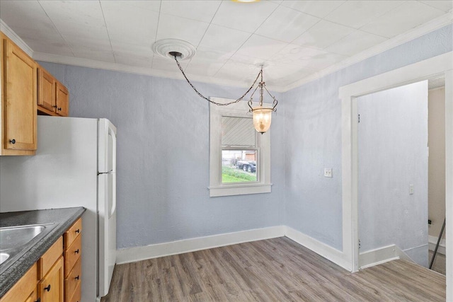 kitchen with ornamental molding, freestanding refrigerator, wood finished floors, dark countertops, and a sink