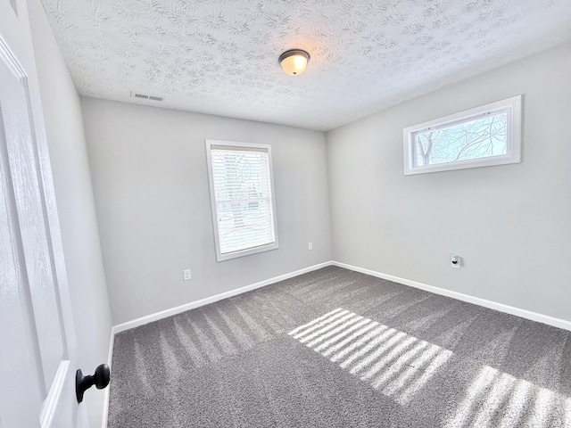 empty room featuring plenty of natural light, a textured ceiling, and carpet flooring