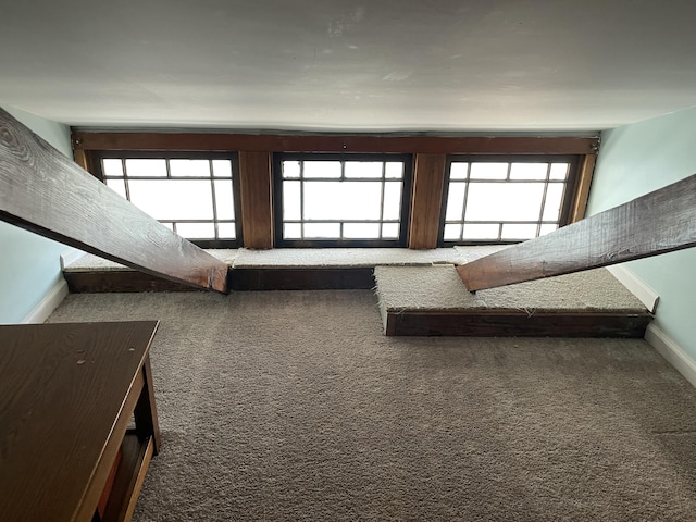 1211 N Lowry Ave, Springfield, OH 45504 - unfurnished living room featuring carpet and baseboards
