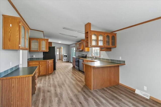 kitchen featuring light hardwood / wood-style flooring, stainless steel appliances, vaulted ceiling, sink, and kitchen peninsula