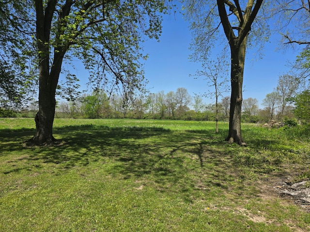 318 W Buckeye St, Belle Center, OH 43310 - view of green lawn