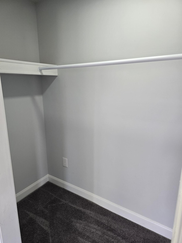 318 W Buckeye St, Belle Center, OH 43310 - walk in closet with dark colored carpet