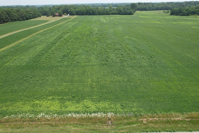 . County Road 49, Belle Center, OH 43310 - photo 1