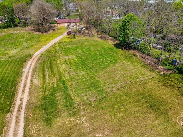 view of yard with dirt driveway
