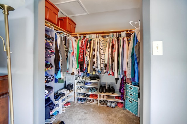 walk in closet featuring carpet floors