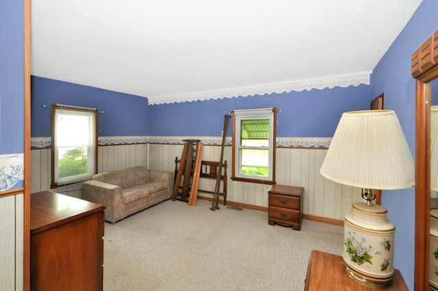 332 N Main St, New Madison, OH 45346 - bedroom with a wainscoted wall, carpet floors, wooden walls, and baseboards