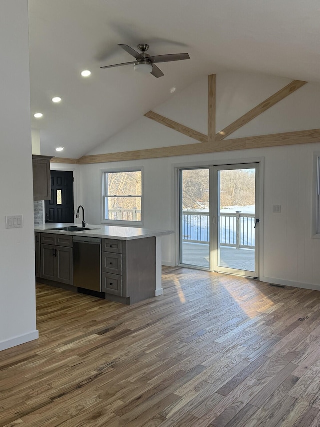 kitchen featuring lofted ceiling, sink, stainless steel dishwasher, dark hardwood / wood-style floors, and a healthy amount of sunlight