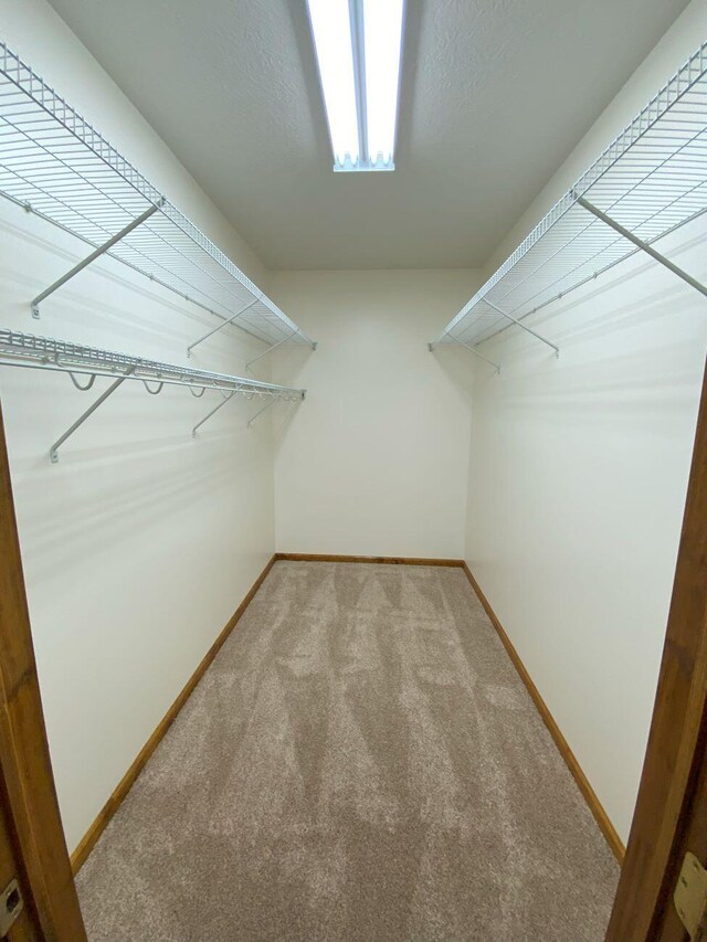 4344 N US Highway 68, West Liberty, OH 43357 - walk in closet with light colored carpet