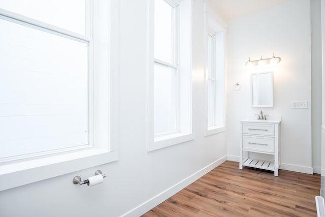 bathroom featuring vanity, hardwood / wood-style flooring, and a healthy amount of sunlight