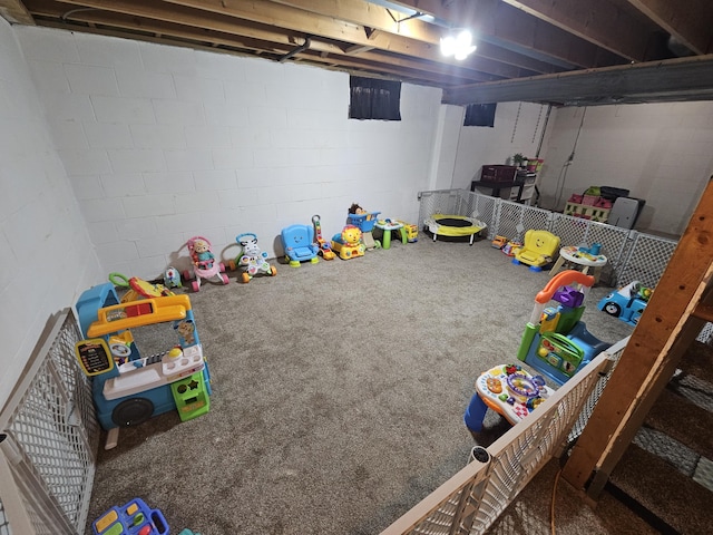 2973 Kicking Bird Trce, Dublin, OH 43017 - playroom with concrete block wall and carpet