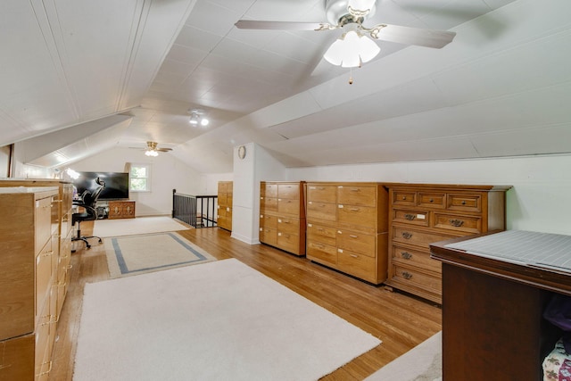 313 Irving Ave, Bellefontaine, OH 43311 - photo 23