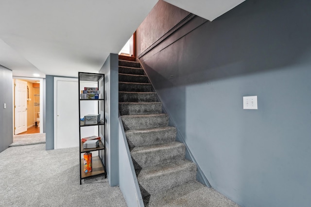 staircase with carpet floors