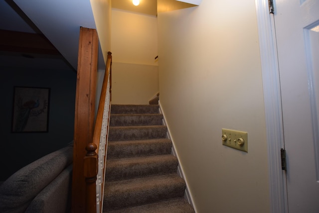 76 Pearce Pl, Urbana, OH 43078 - photo 33