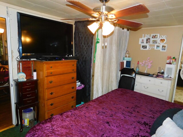 bedroom with ceiling fan