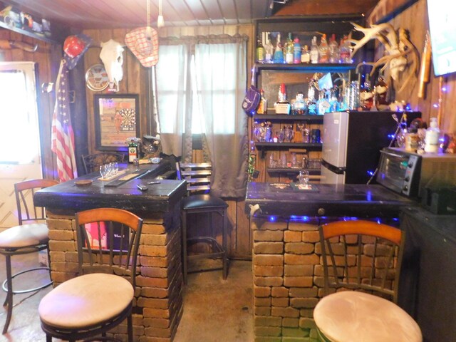 bar with stainless steel appliances and a dry bar