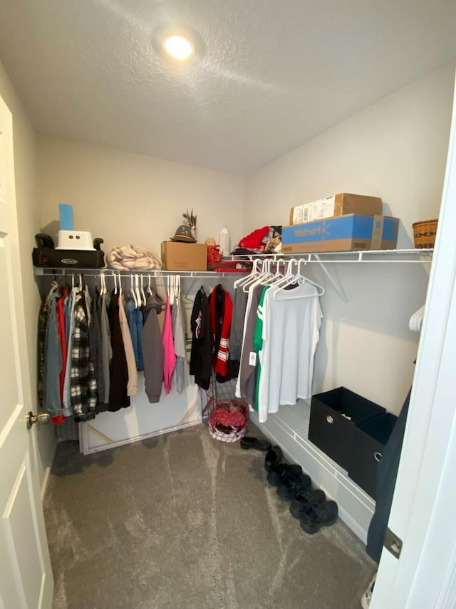 walk in closet with carpet flooring