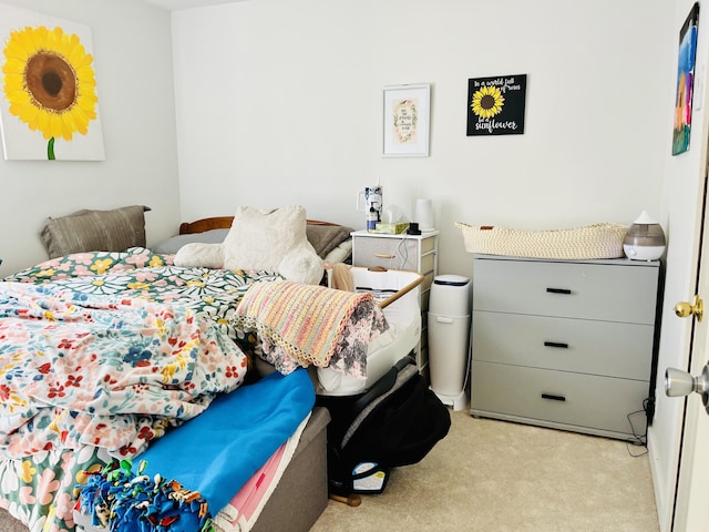 201 Clay St, Rockford, OH 45882 - bedroom featuring light carpet